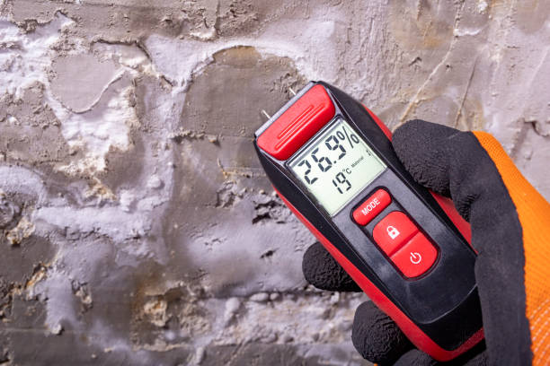 Best Mold Testing  in Laughlin, NV