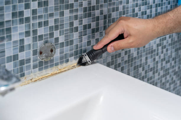 Best Mold Damage Repair  in Laughlin, NV
